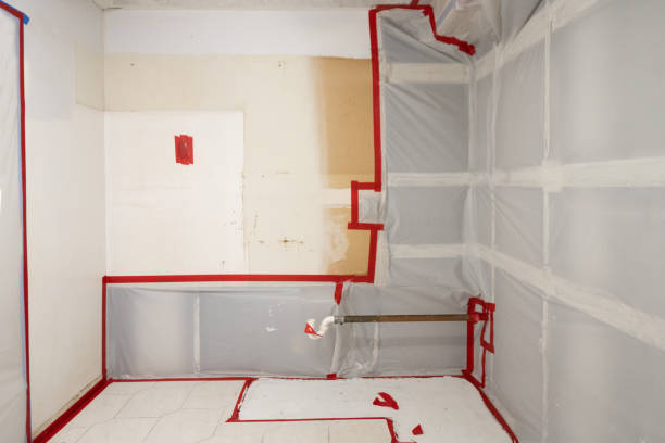  Aventura, FL Mold Removal Pros