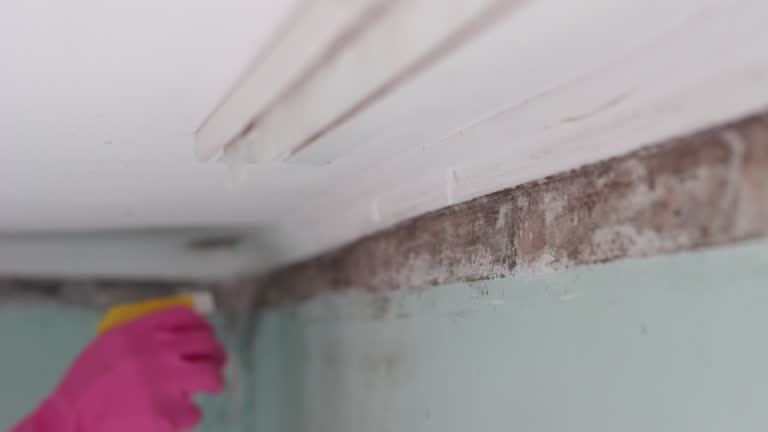 Best Indoor Air Quality Assessment  in Aventura, FL